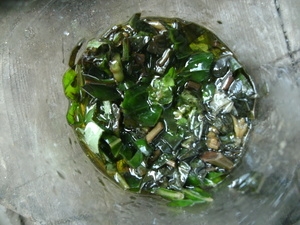 バジルとオレガノのオイル漬け レシピ 作り方 By 和土 楽天レシピ バジルとオレガノのオイル漬け レシピ 作り方 By 和土 楽天レシピ