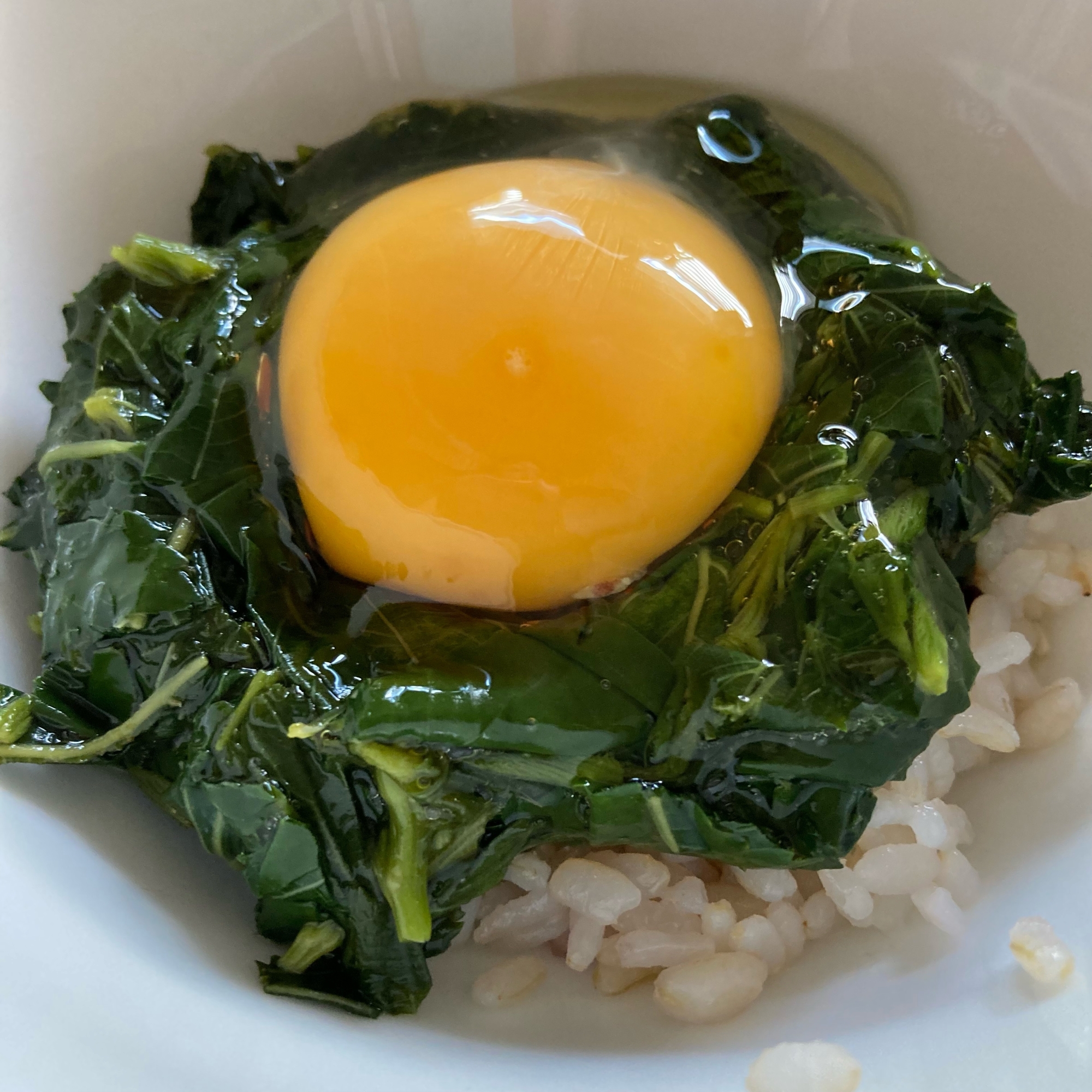 家庭菜園の《モロヘイヤ玉子掛けご飯》