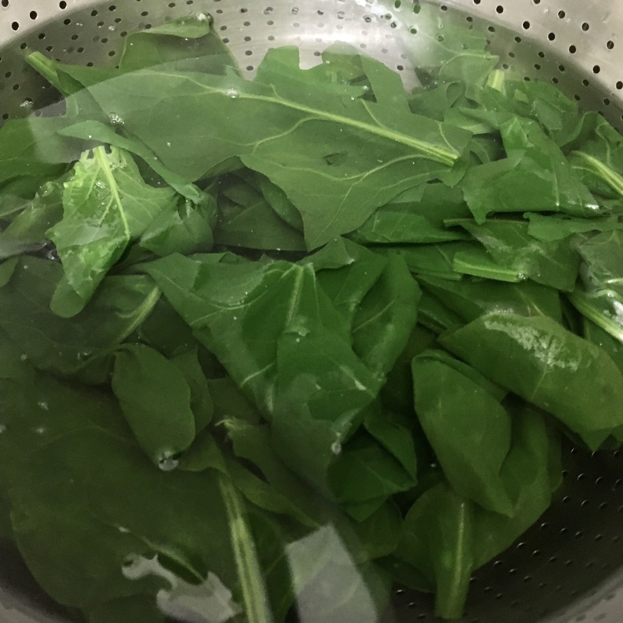 離乳食中期 ほうれん草 冷凍保存法 レシピ 作り方 By はるままぽん 管理栄養士 楽天レシピ 離乳食中期 ほうれん草 冷凍保存法 レシピ 作り方 By はるままぽん 管理栄養士 楽天レシピ