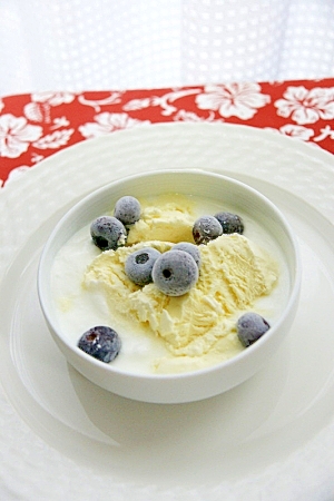 ブルーベリー アイスヨーグルト レシピ 作り方 By ホヌ Honu 楽天レシピ ブルーベリー アイスヨーグルト レシピ 作り方 By ホヌ Honu 楽天レシピ