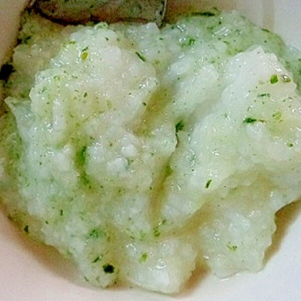 離乳食後期 キャベツ 青海苔入りお粥 レシピ 作り方 By J Mammy 楽天レシピ 離乳食後期 キャベツ 青海苔入りお粥 レシピ 作り方 By J Mammy 楽天レシピ