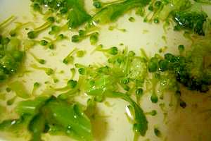 ：：多層鍋で　ブロッコリーの中華風スープ：：