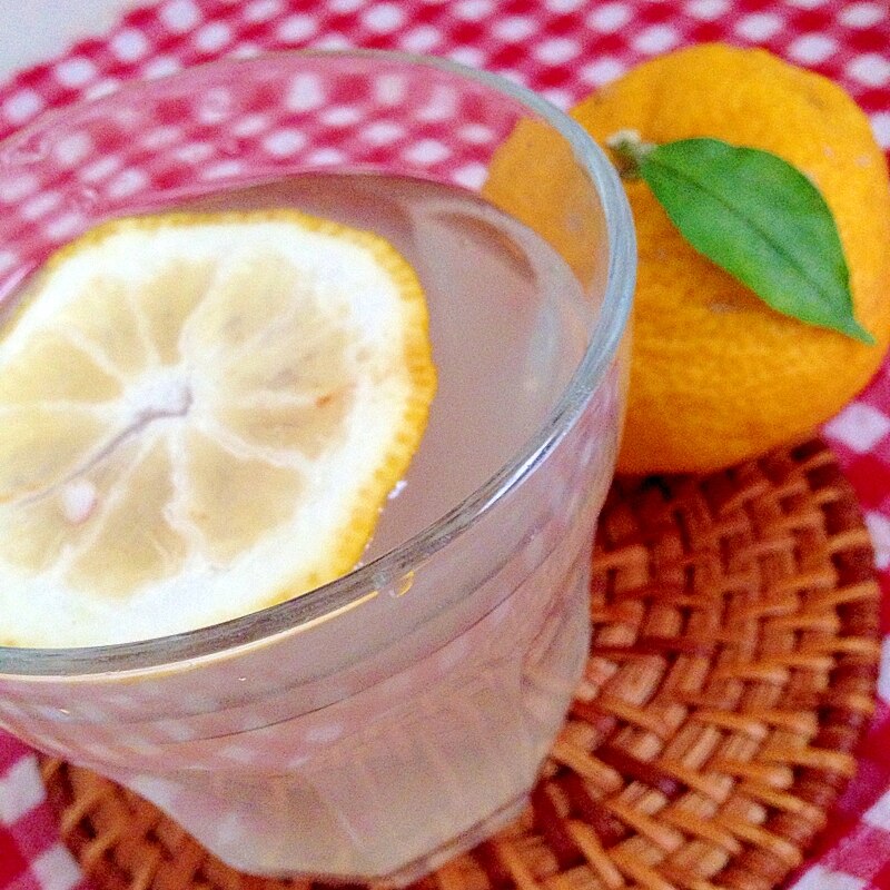 柚子レモンサイダー レシピ 作り方 By Thank You Good Bye 楽天レシピ