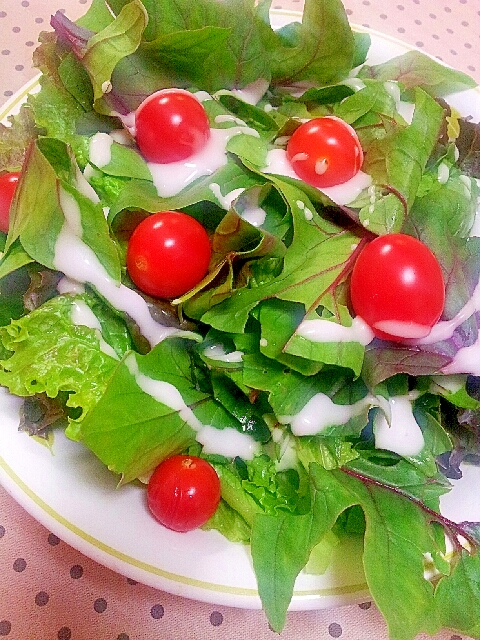 ２種類のレタスとサラダほうれん草の サラダ レシピ 作り方 By ラズベリっち 楽天レシピ