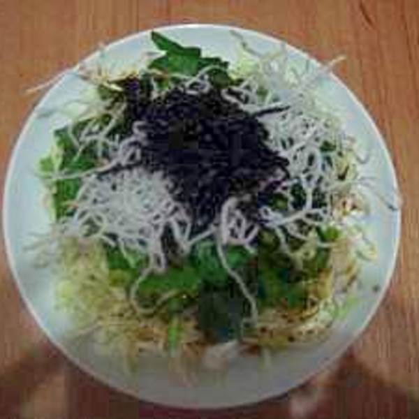 春キャベツ 揚げ春雨 ひじきの健康サラダ レシピ 作り方 By Raka1978 楽天レシピ 春キャベツ 揚げ春雨 ひじきの健康サラダ レシピ 作り方 By Raka1978 楽天レシピ