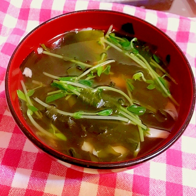 豆苗と春雨の中華スープ