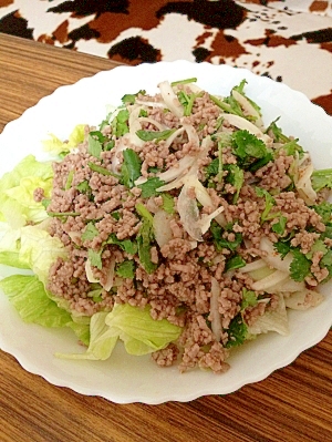 タイ風！豚ひき肉の幸せサラダ