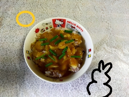 おとちゃーん☽･:*カレー丼(ﾉ*°▽°)ﾉやっと作れた(ﾉ*°▽°)ﾉ行きつけ定食屋でPiiiiiiiNいーじゃん♪♪美味しかったです＼(^^)／