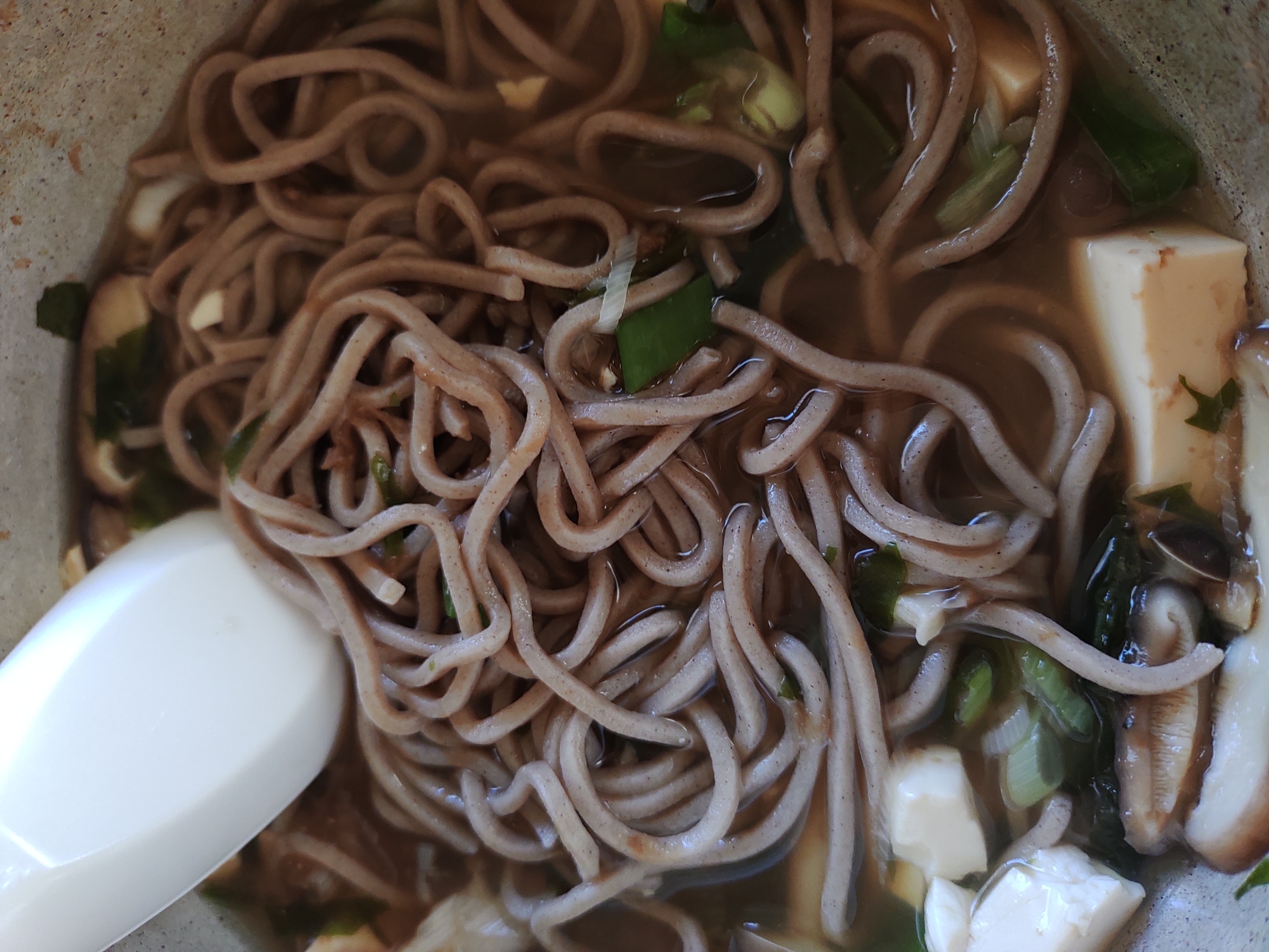 ネギと豆腐とわかめの蕎麦