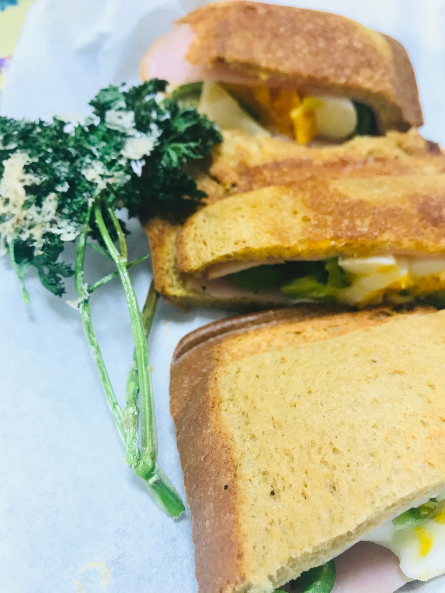 パリパリ パセリ レンジで簡単乾燥 レシピ 作り方 By 015ゆきこ 楽天レシピ パリパリ パセリ レンジで簡単乾燥 レシピ 作り方 By 015ゆきこ 楽天レシピ