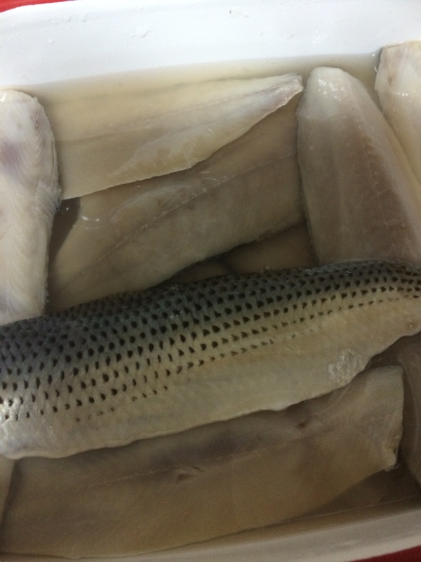 コノシロの酢じめ O O レシピ 作り方 By りぽひめ 楽天レシピ コノシロの酢じめ O O レシピ 作り方 By りぽひめ 楽天レシピ