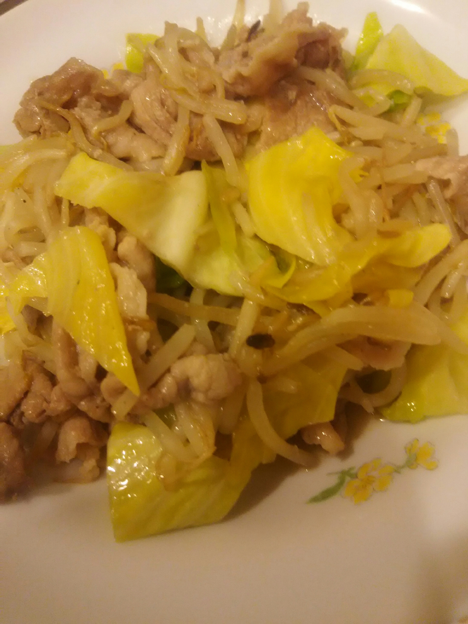 豚肉野菜炒め(2)
