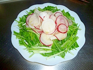 紅白サラダ