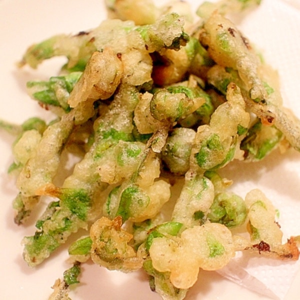 下茹でして失敗知らず 宮古ぜんまいの天ぷら レシピ 作り方 By Seika A 楽天レシピ 下茹でして失敗知らず 宮古ぜんまいの天ぷら レシピ 作り方 By Seika A 楽天レシピ