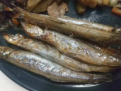 簡単！ジューシーししゃもの焼き方