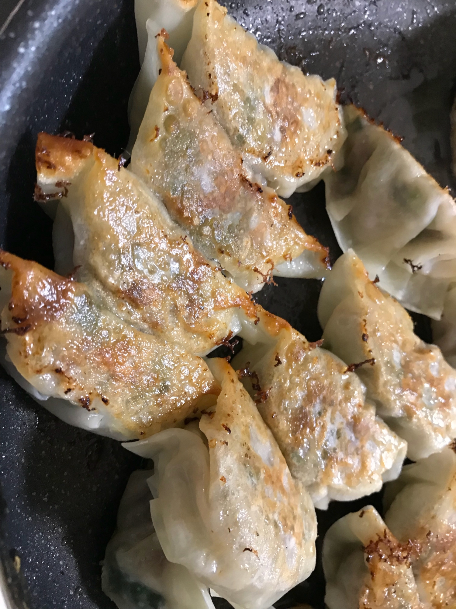 にらと鶏モモ肉の焼き餃子