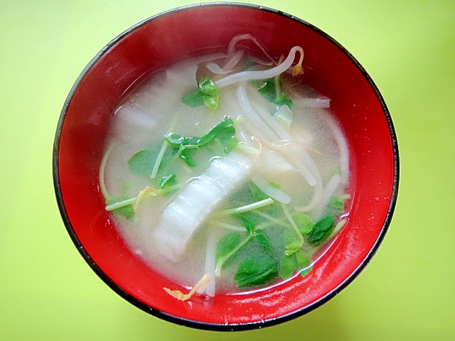 白菜ともやし豆苗の味噌汁