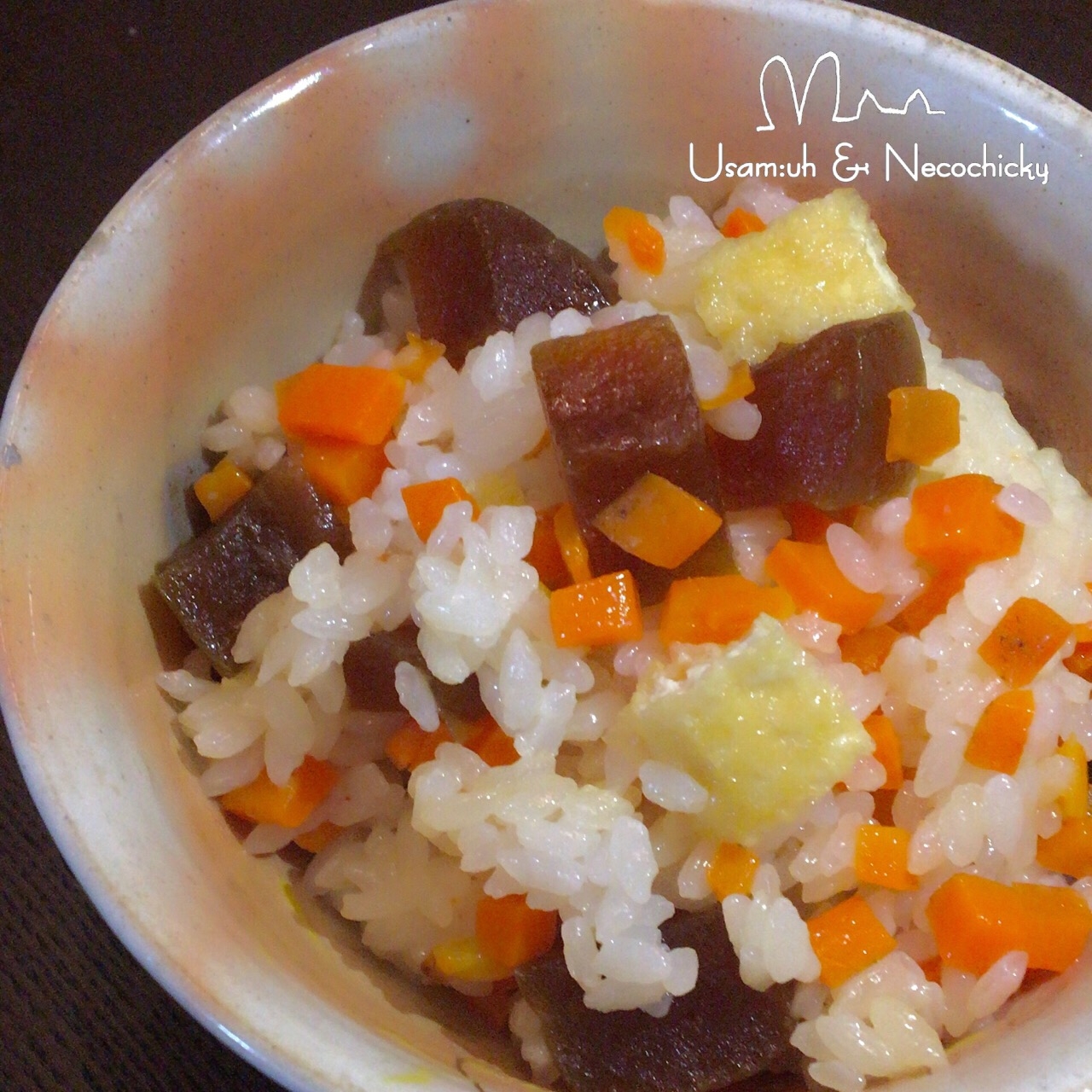 奈良漬の歯応えがポリポリ美味しい あかねご飯 レシピ 作り方 By うさむー ねこちき 楽天レシピ