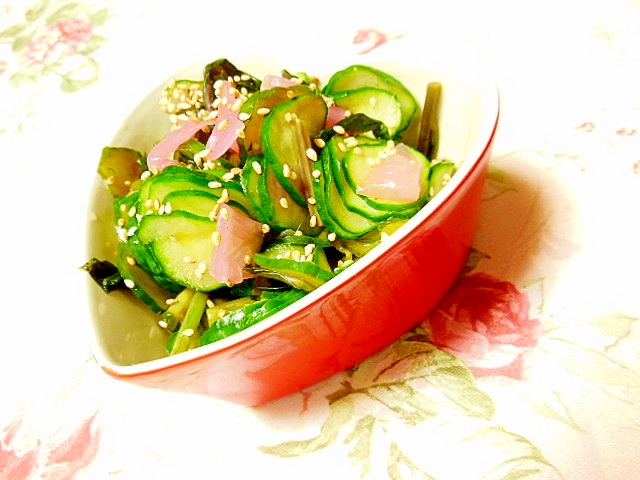 金時草と茗荷甘酢と胡瓜の生姜めんつゆ レシピ 作り方 By 小太郎1212 楽天レシピ 金時草と茗荷甘酢と胡瓜の生姜めんつゆ レシピ 作り方 By 小太郎1212 楽天レシピ