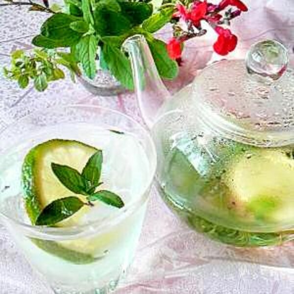 すっきり爽やかミント水 レシピ 作り方 By 麻呂0461 楽天レシピ すっきり爽やかミント水 レシピ 作り方 By 麻呂0461 楽天レシピ