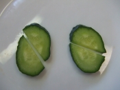 ときめきハート形キュウリ レシピ 作り方 By Iihi009 楽天レシピ ときめきハート形キュウリ レシピ 作り方 By Iihi009 楽天レシピ