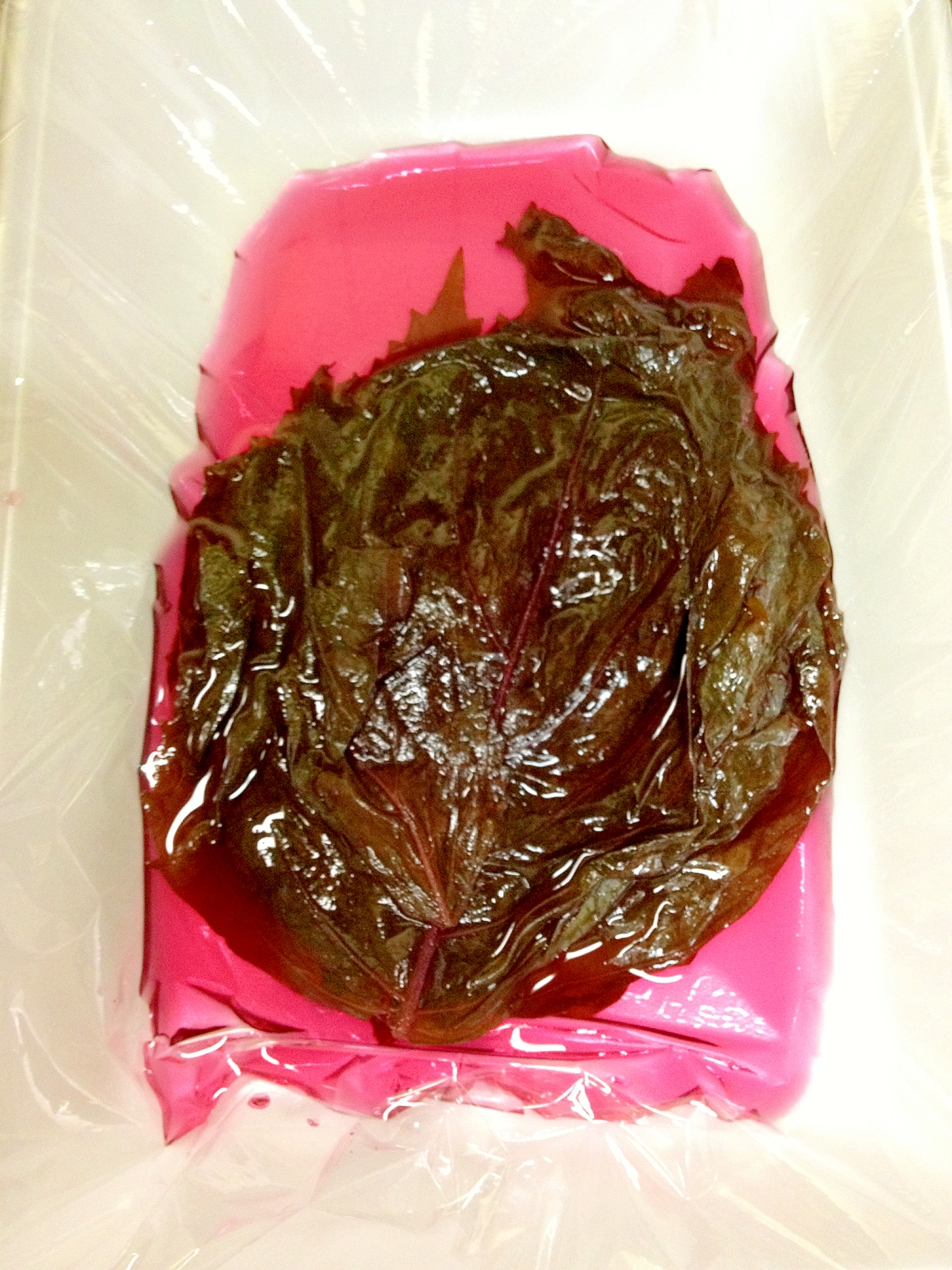 赤紫蘇レシピ 作り方の人気順 簡単料理の楽天レシピ