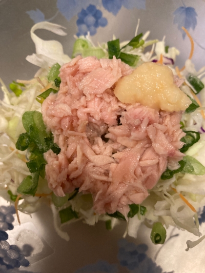 サラダのトッピングにしてみました^o^生姜でさっぱり美味しく食べれますね(o^^o)ごちそうさまでした✨