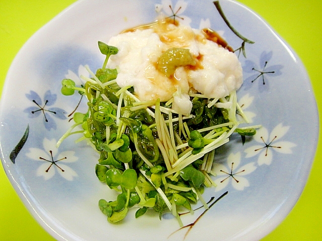 カイワレと山芋のめかぶ和え