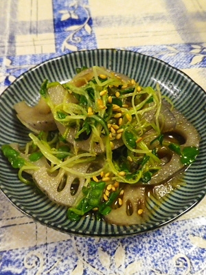 蓮根カイワレのワサビ醤油あえ