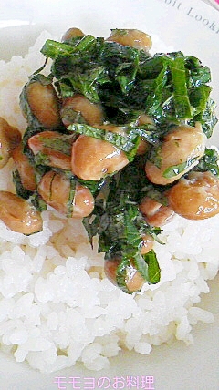 青シソと海苔の納豆ご飯
