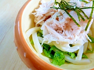 犬用 サラダうどん レシピ 作り方 By Jp S ビートル 楽天レシピ 犬用 サラダうどん レシピ 作り方 By Jp S ビートル 楽天レシピ