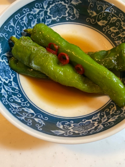 ししとうの煮浸し