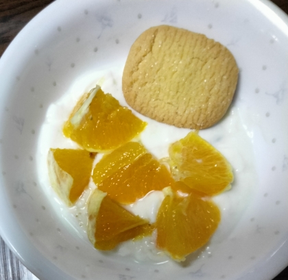 クッキーヨーグルトその9
