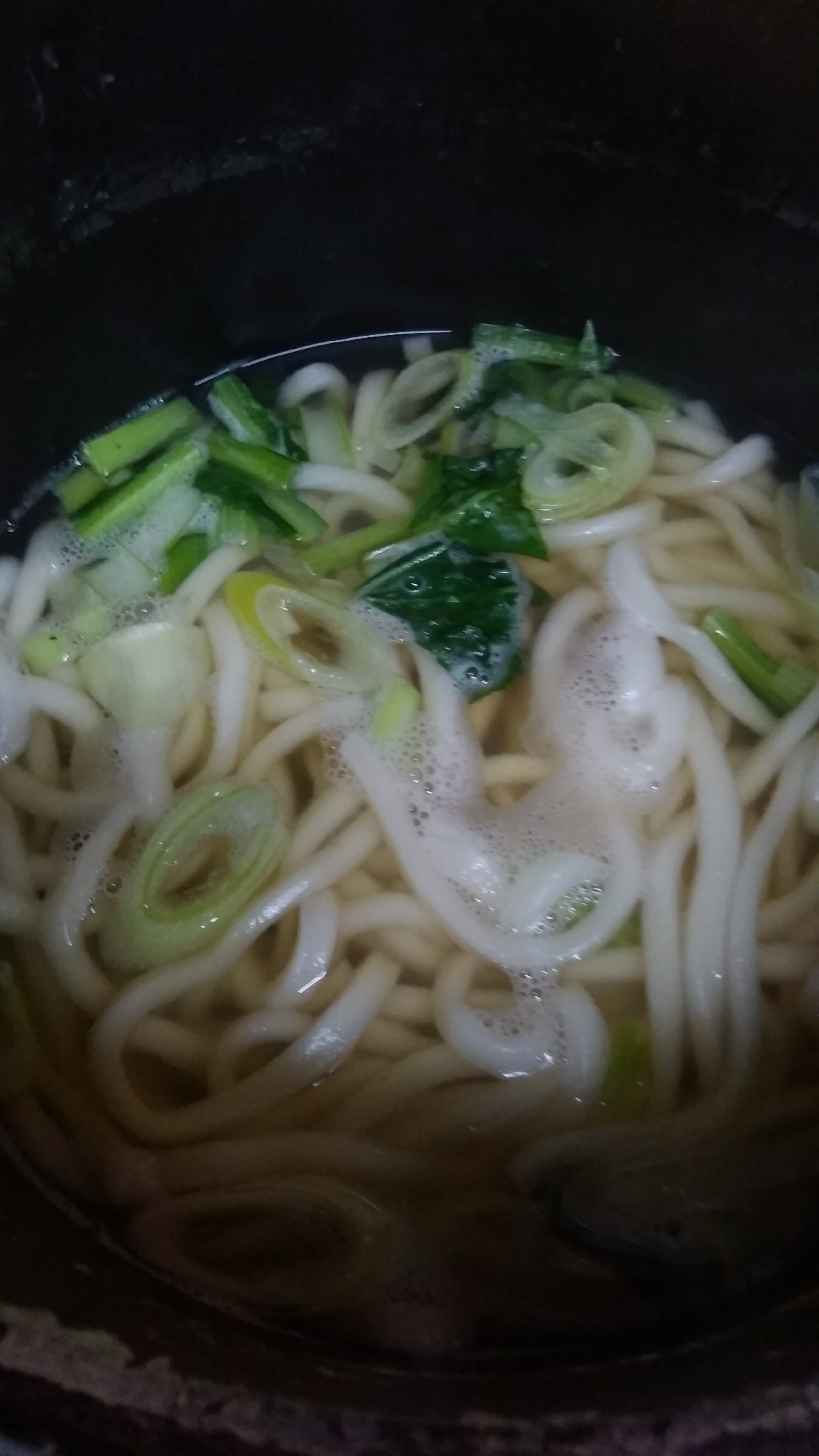 ネギ小松菜うどん