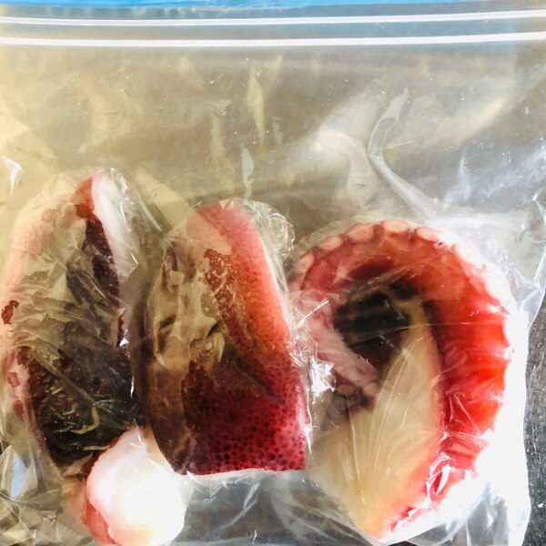 タコの冷凍保存方法 レシピ 作り方 By Hamupi Ti Zu 楽天レシピ タコの冷凍保存方法 レシピ 作り方 By Hamupi Ti Zu 楽天レシピ