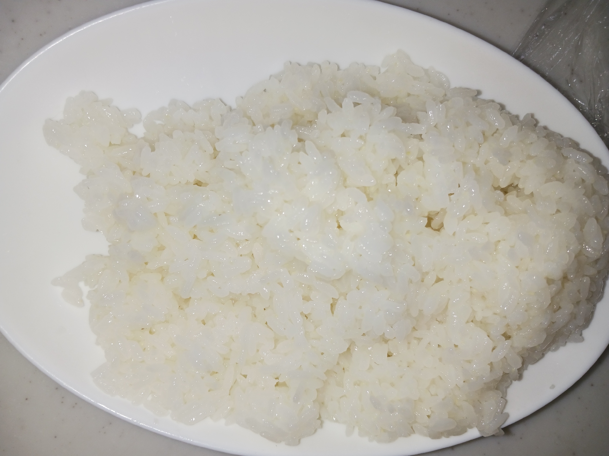 酢飯　黄金比