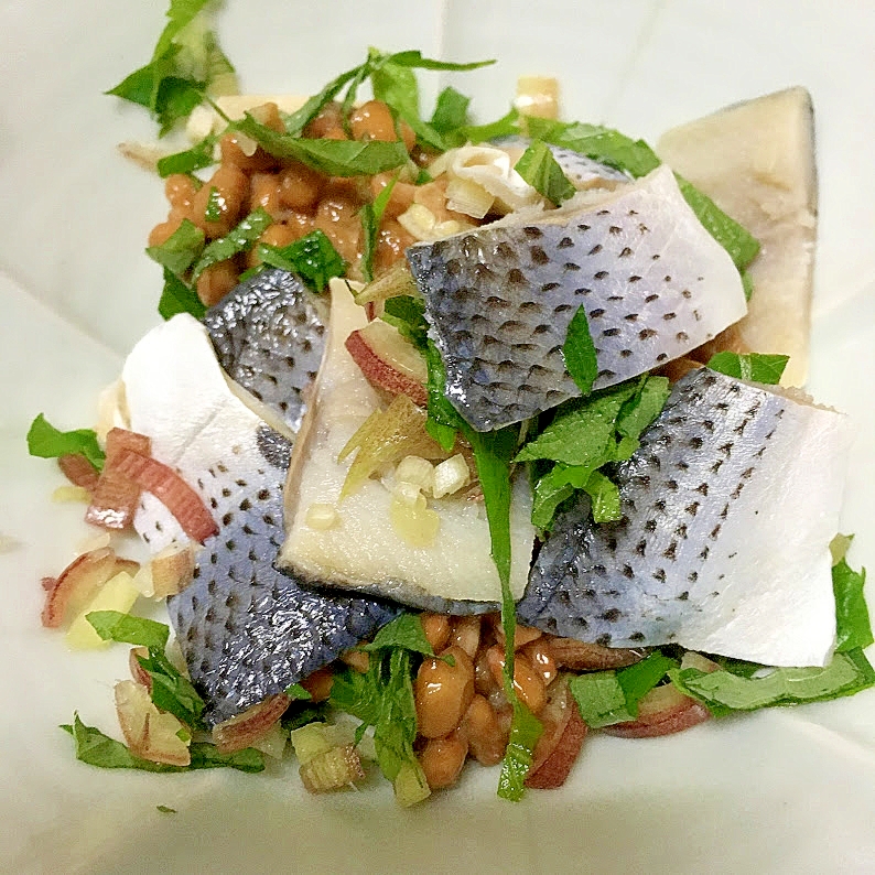 3ページ目 コハダレシピ 作り方の人気順 簡単料理の楽天レシピ 3ページ目 コハダレシピ 作り方の人気順 簡単料理の楽天レシピ