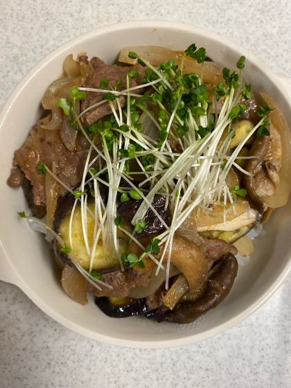 【男の料理】カルビ茄子丼