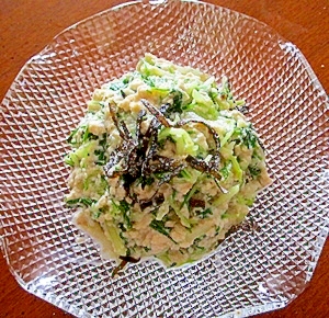 ずぼらな簡単レシピ！水菜の白和え