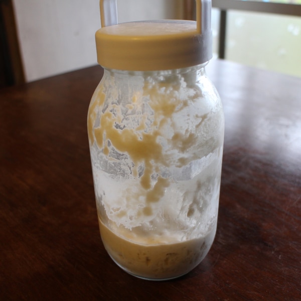 天然酵母 元種 レシピ 作り方 By かあにゃん 楽天レシピ 天然酵母 元種 レシピ 作り方 By かあにゃん 楽天レシピ