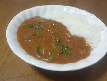 ほうれん草と玉ねぎのカレー