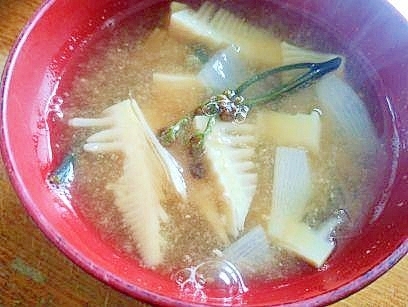 筍・新玉・蕨の　みそ汁