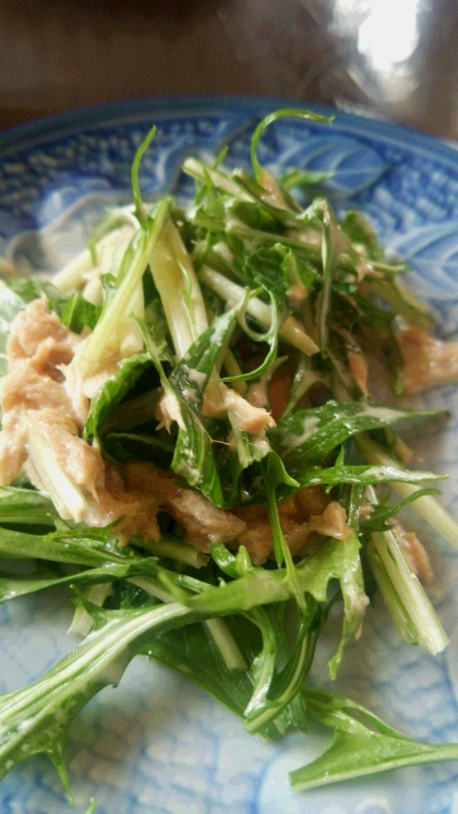 マヨポンがツナに絡んでとても美味しく水菜がたくさん食べられました(*^▽^*)