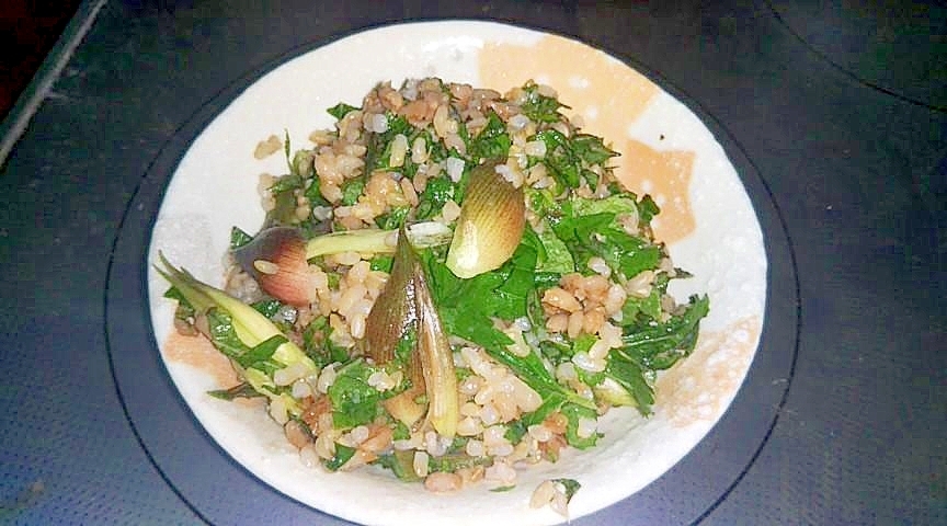 青シソの葉と花みょうがの混ぜご飯 レシピ 作り方 By Qq542vev 楽天レシピ