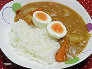 ヨーグルト入りカレーライス