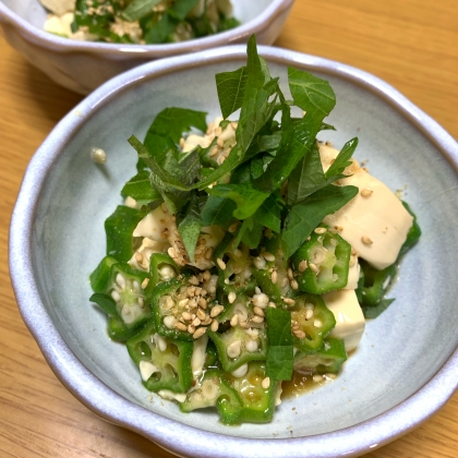 ごま油の良い香りとレモンの酸味がさわやかな夏にぴったりのメニューですね♫体にも良さそうでペロリと頂ける美味しさ☆ごちそう様でした‼︎