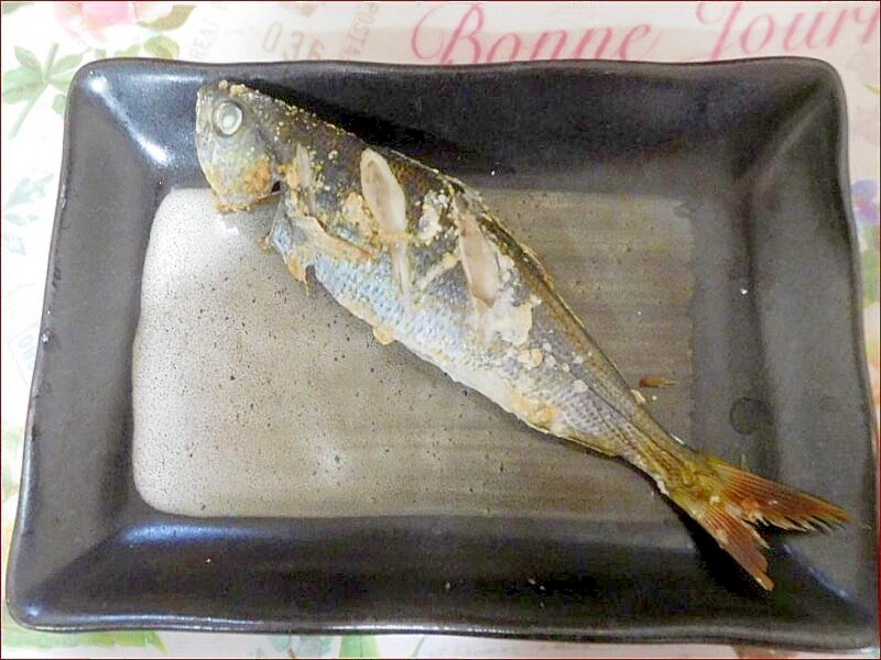 タカベの塩焼き レシピ 作り方 By めんか 楽天レシピ タカベの塩焼き レシピ 作り方 By めんか 楽天レシピ