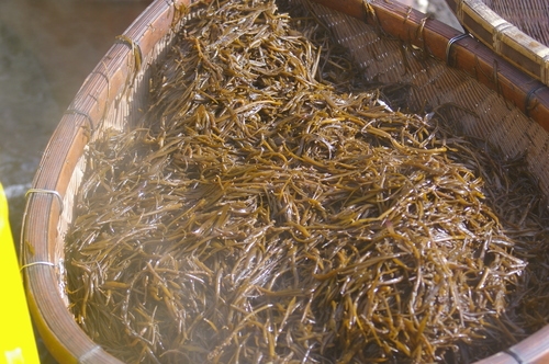 海でとったひじきレシピ 作り方の人気順 簡単料理の楽天レシピ 海でとったひじきレシピ 作り方の人気順 簡単料理の楽天レシピ