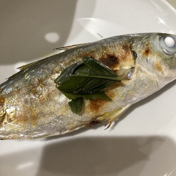 真鯵のさっぱりレモン風味焼き レシピ 作り方 By へんてこへんてこママ 楽天レシピ 真鯵のさっぱりレモン風味焼き レシピ 作り方 By へんてこへんてこママ 楽天レシピ