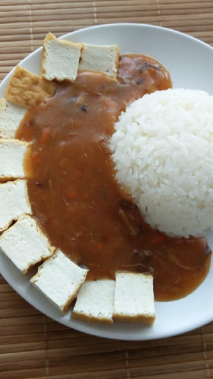 【節約ビンボー飯】熱々 厚揚げあんかけ丼